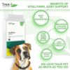 Picture of Vitali-Paws Joint Support for  Dogs