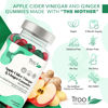 Picture of Apple Cider Vinegar  Ginger - 60 Natural Apple Flavour Gummies