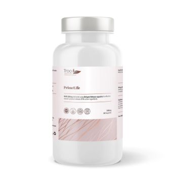 NMN 500mg Capsules